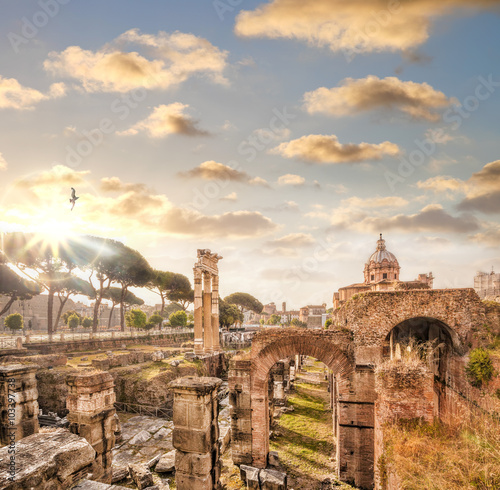 Famous Roman ruins in Rome, Italy