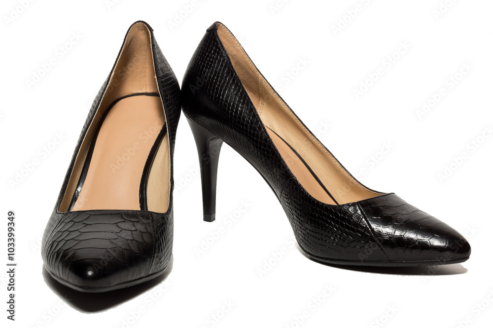 female shoes on a white background female shoes on a white background