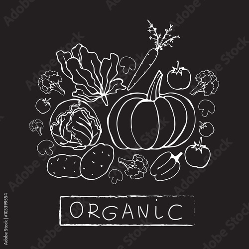 Eco organic food set on the chalkboard.