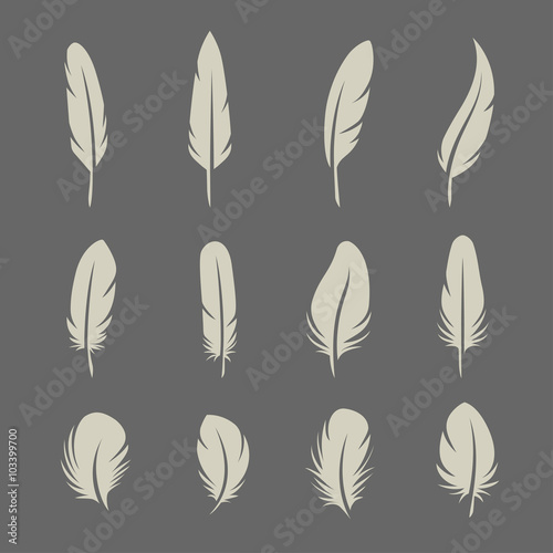 Feathers retro set