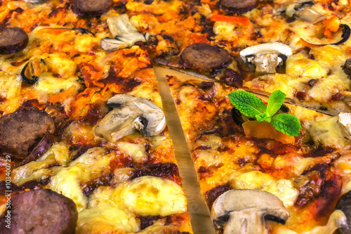 handmade pizza with salami and mushrooms on wooden board, close- © Lumppini