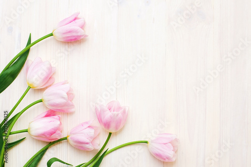 Fototapeta Naklejka Na Ścianę i Meble -  Pink tulips on white wooden background. Flat lay, top view, Greeting card concept.