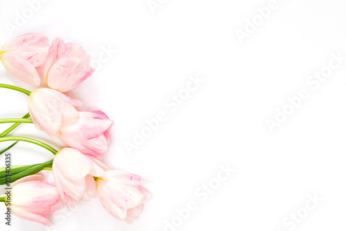 Fototapeta Naklejka Na Ścianę i Meble -  Pink tulips on white background. Top view. Flat lay.