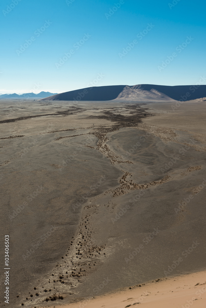 Namib Desert (near Sossusvlei)