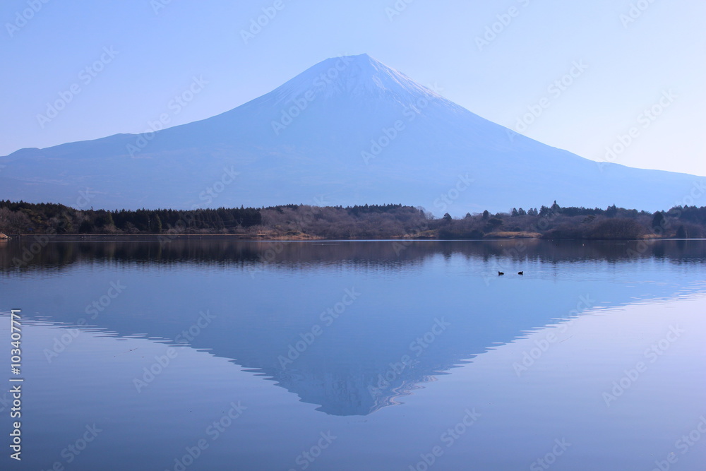 田貫湖と富士山 田貫湖と富士山