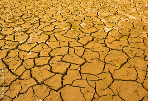 Drought. Backgrounds