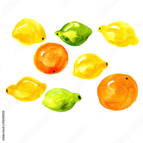 Set of citrus, orange, lemon, lime watercolor