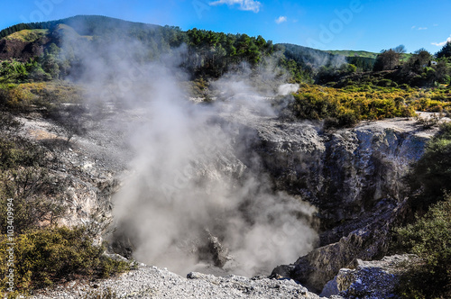 Steaming ground in the Wai-o-tapu geothermal area  near Rotorua 