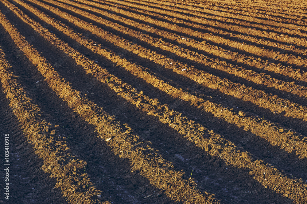 Rows pattern of plowed soil for potatoes crops in spring. Rows pattern of plowed soil for potatoes crops in spring.