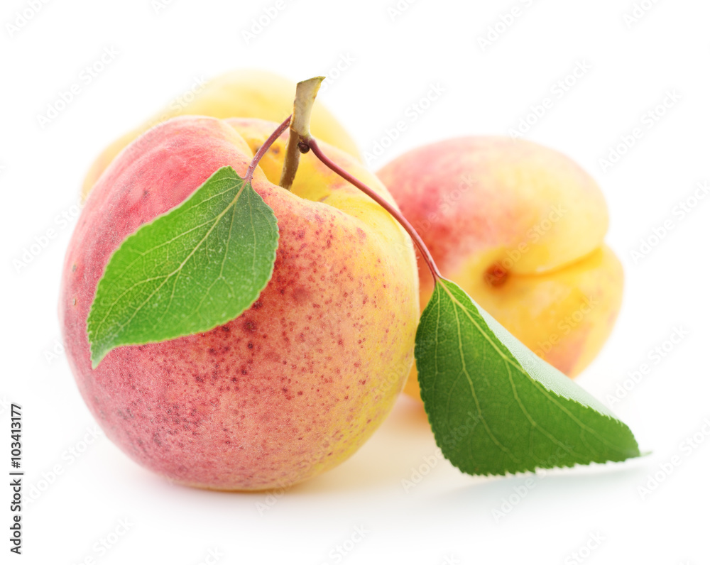 Apricots with leaves.