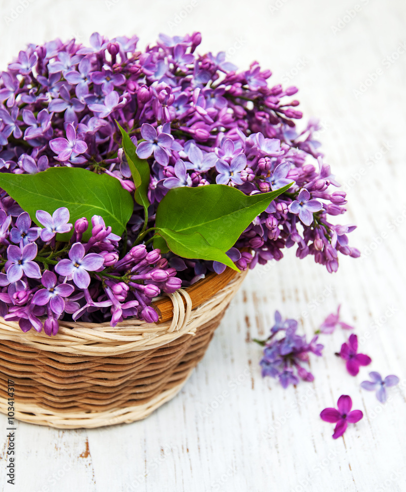 Fototapeta premium Lilac flowers