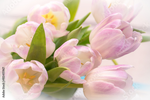 Fototapeta Naklejka Na Ścianę i Meble -  Bunch of pastel pink tulips close up