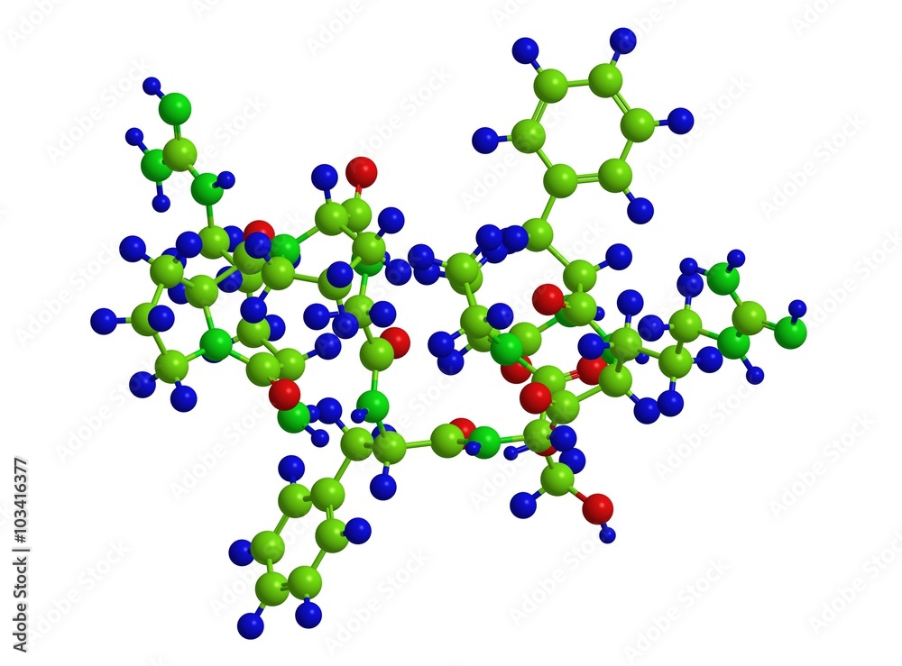 Bradykinin - molecular structure Bradykinin - molecular structure