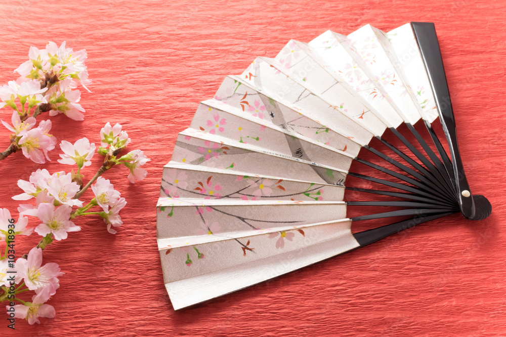 Obraz premium 桜 扇子