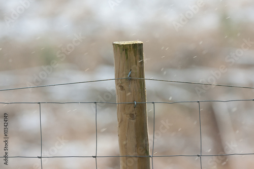 Εκτύπωση καμβά rural wooden fence post on a cold day with light snow falling