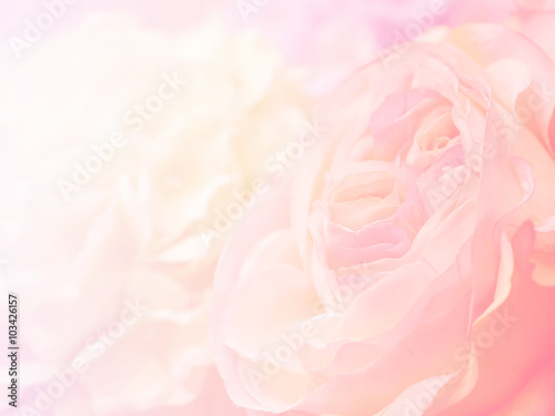 Flower background 18 © npstockphoto