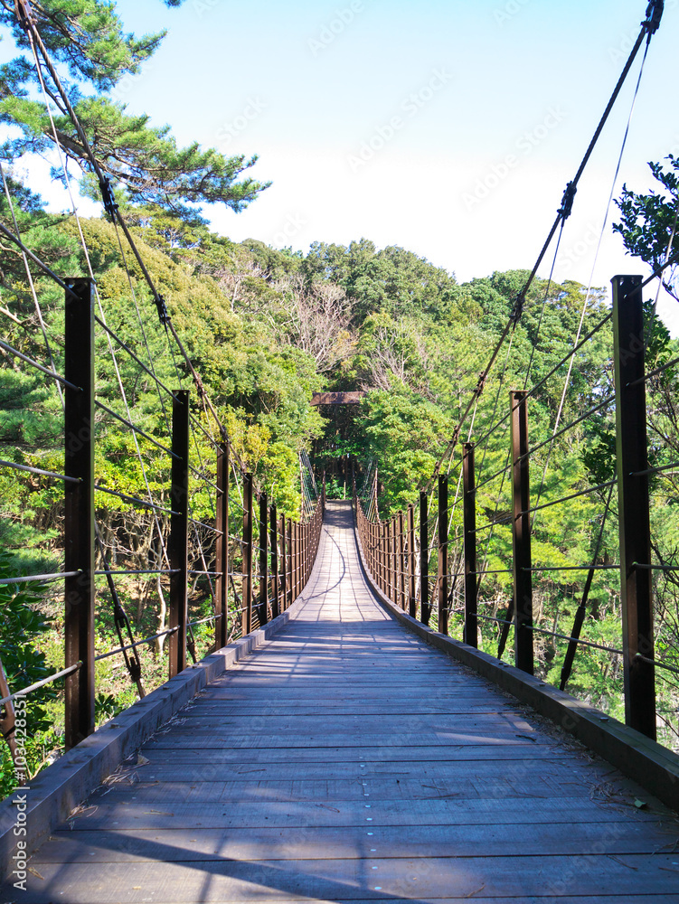 Obraz premium 伊豆高原の橋立吊橋