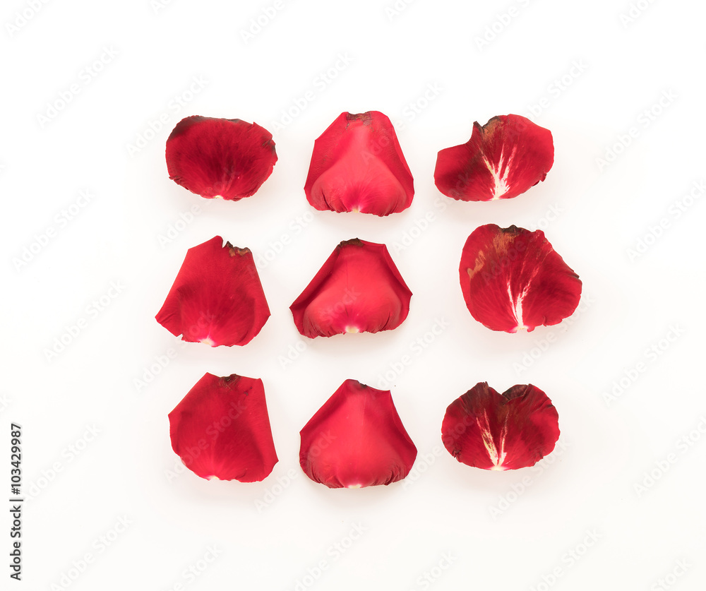 red rose petal