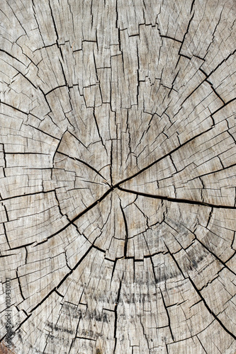 old wood texture background