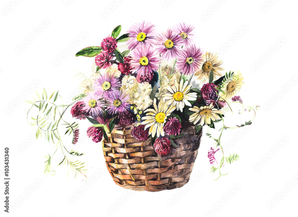 Bouquet from meadow flowers in the basket. Flower backdrop. Watercolor hand drawn illustration