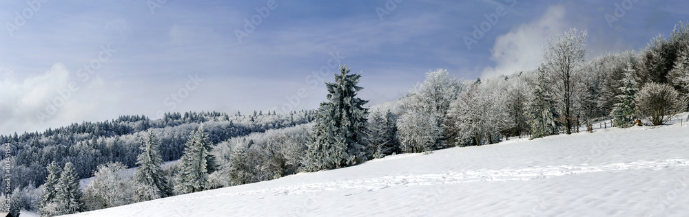 Snow-covered hill flank wide panoramic view Snow-covered hill flank wide panoramic view