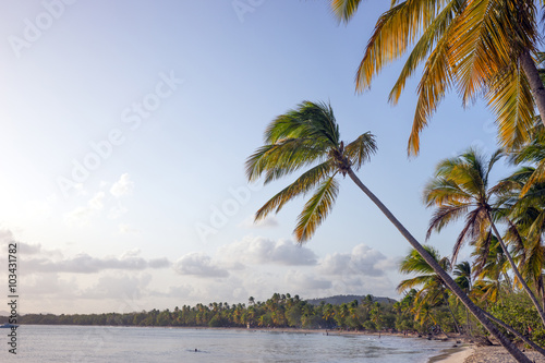 Tropischer Strand, Grande Anse des Salines © kelifamily