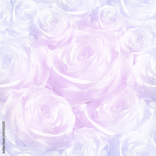 elegant pink pastel seamless pattern luxurious rose