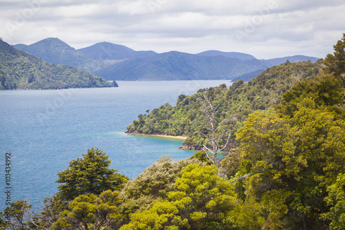 Marlborough Sounds South Island