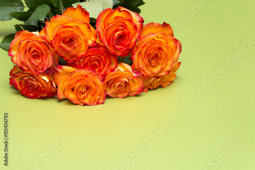 bouquet of orange roses isolated on green background
