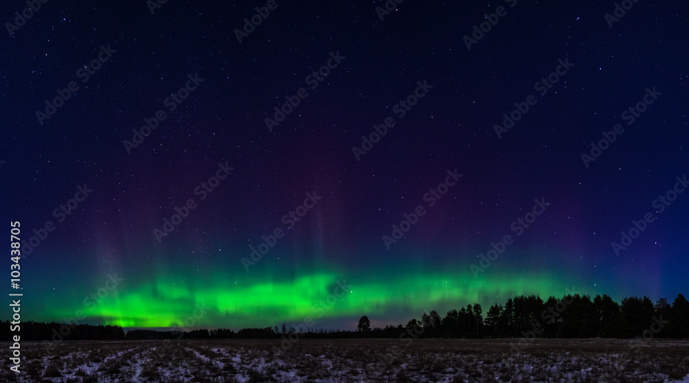 Northern lights over forest in Estonia
