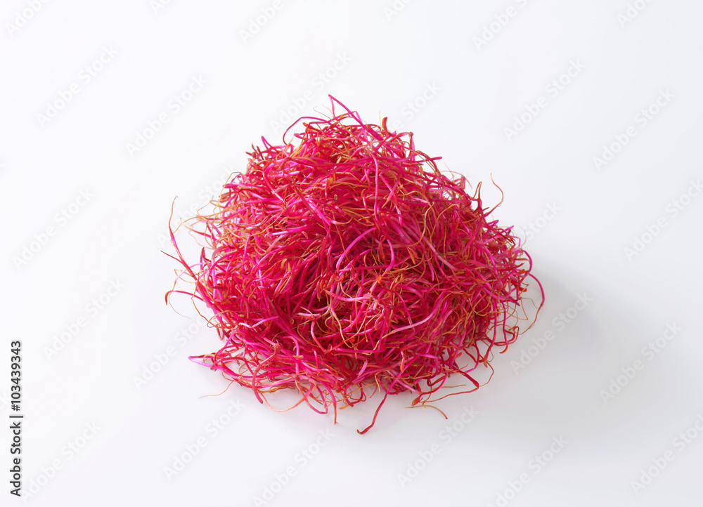 Fototapeta premium Beetroot sprouts