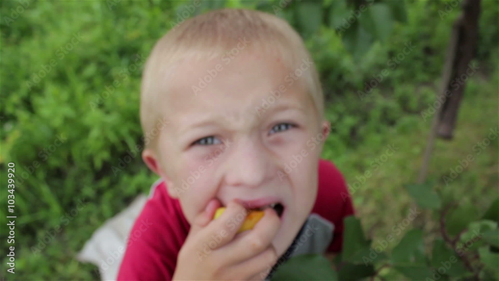 fruit child eats/Boy eating apricot and looks into the camera lens fruit child eats/Boy eating apricot and looks into the camera lens
