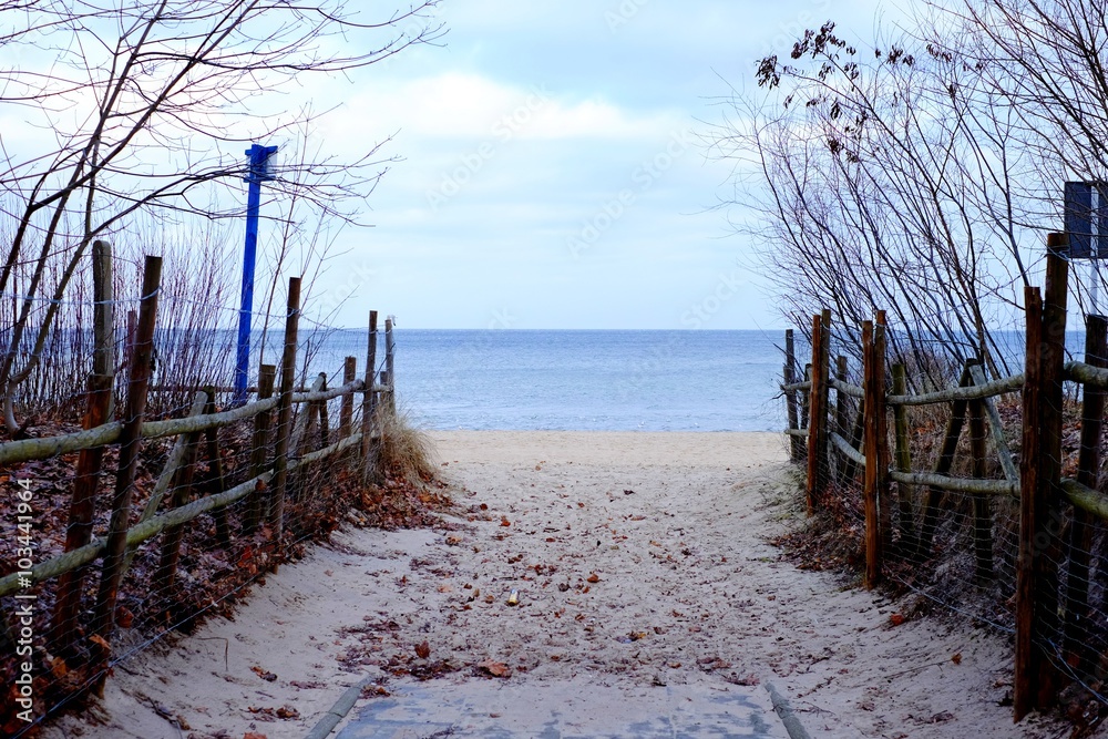 The path to the sea