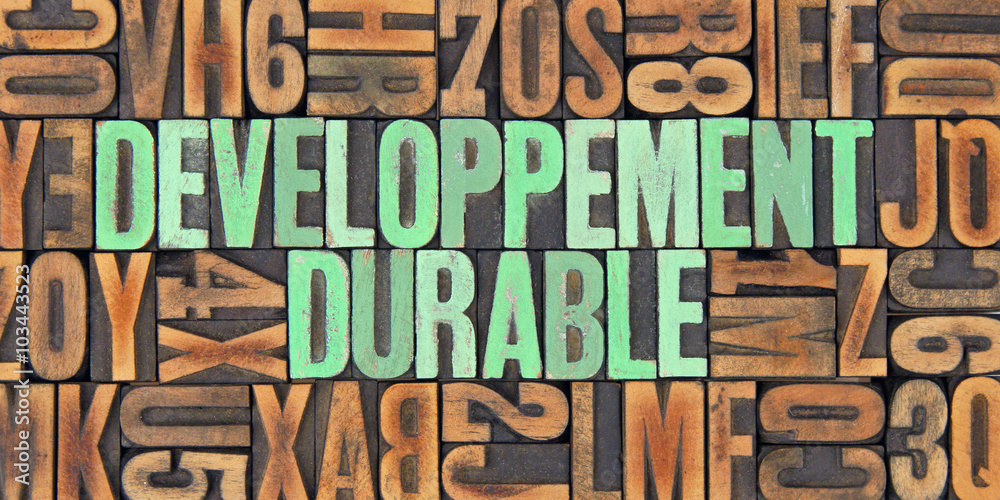 développement durable / caracteres d'imprimerie en bois développement durable / caracteres d'imprimerie en bois