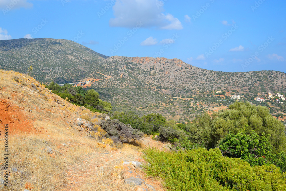 Summer landscape in Crete.