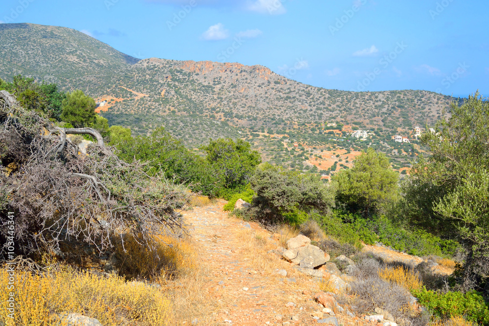 Fototapeta premium Summer landscape in Crete.