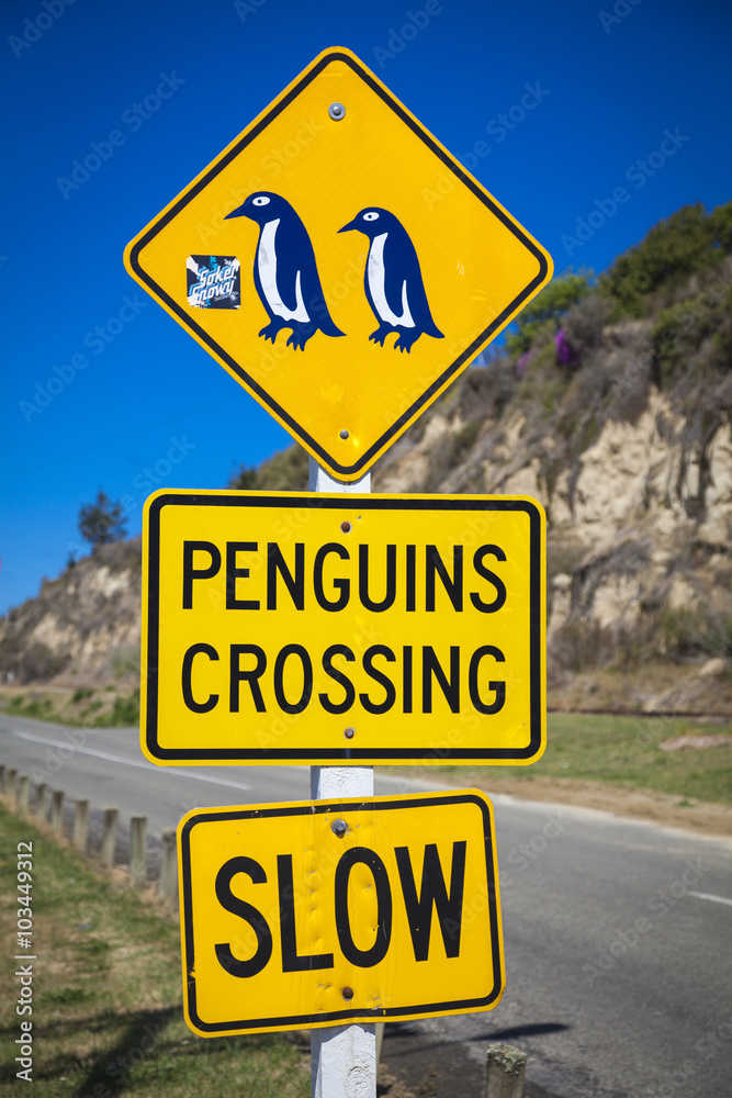 Neuseeland Oamaru Pinguinschilder