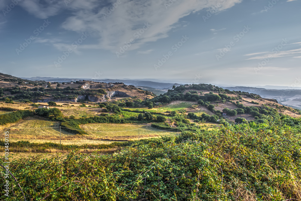 Fototapeta premium countryside at sunset in Sardinia