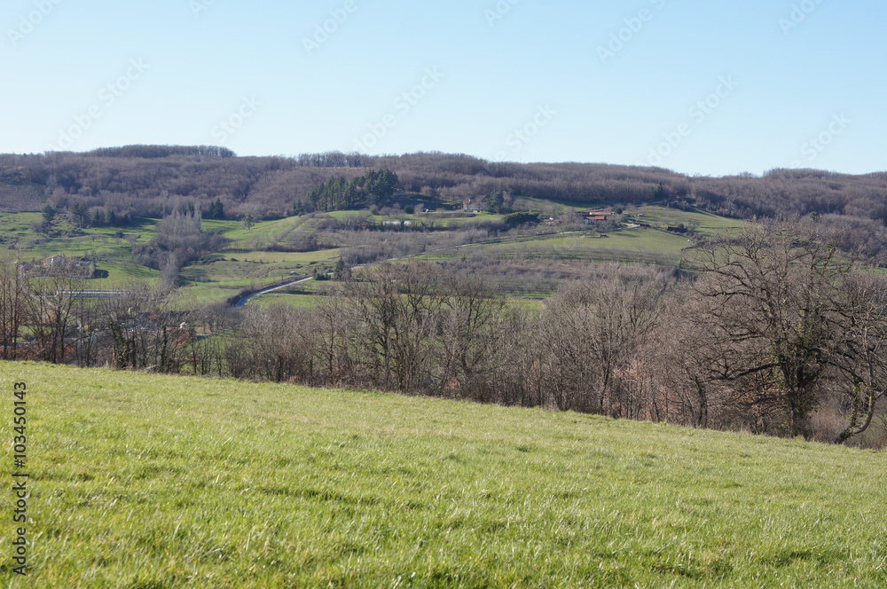 paysage de campagne