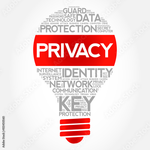 PRIVACY bulb word cloud, business concept