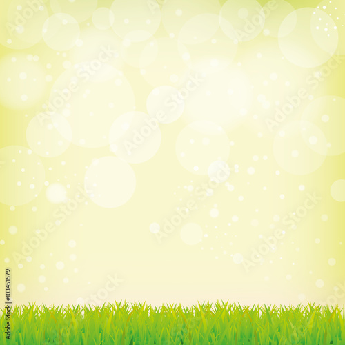Smooth green background with grass and bokeh