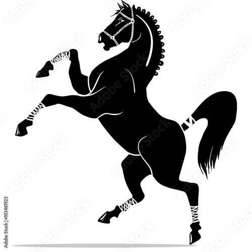Fototapeta Naklejka Na Ścianę i Meble -  black horse silhouette 