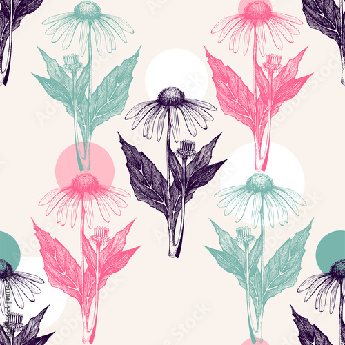 Vector hand drawn echinacea illustration. Vintage echinacea flower sketch. Botanical seamless pattern with abstract elements
