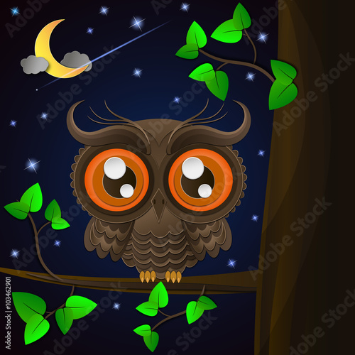 Owl and moon, nocturnal sky.