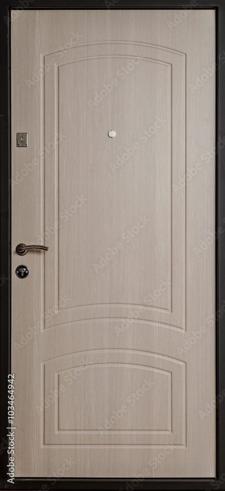 The iron door with a wooden pattern. The iron door with a wooden pattern.