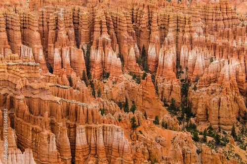 Hoodoos with pine trees at Bryce Canyon National Park in Utah.