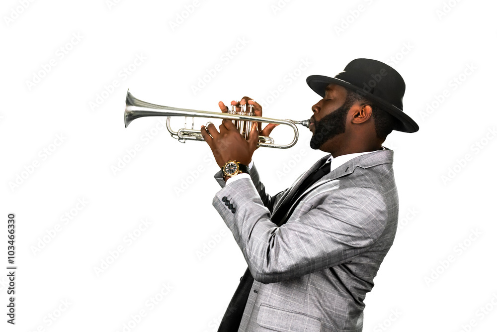 Naklejka premium Bearded musician.