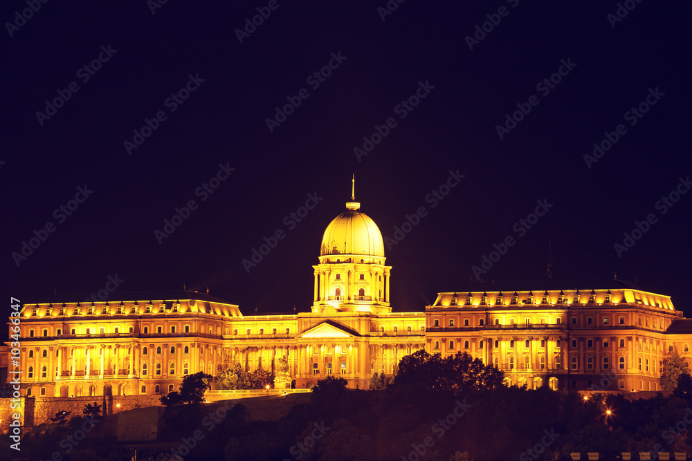 Night view of Chain bridge and royal palace in Budapest, Hungary, Vintage look