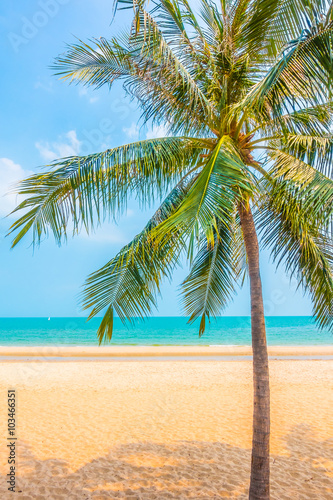 Beautiful palm tree on the beach © siraphol