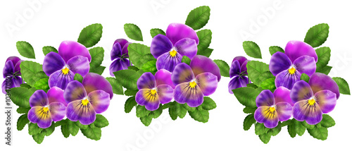 Fototapeta Naklejka Na Ścianę i Meble -  Pansy Spring flowers Web banner, Viola tricolor isolated on white background. Pattern, Digital illustration